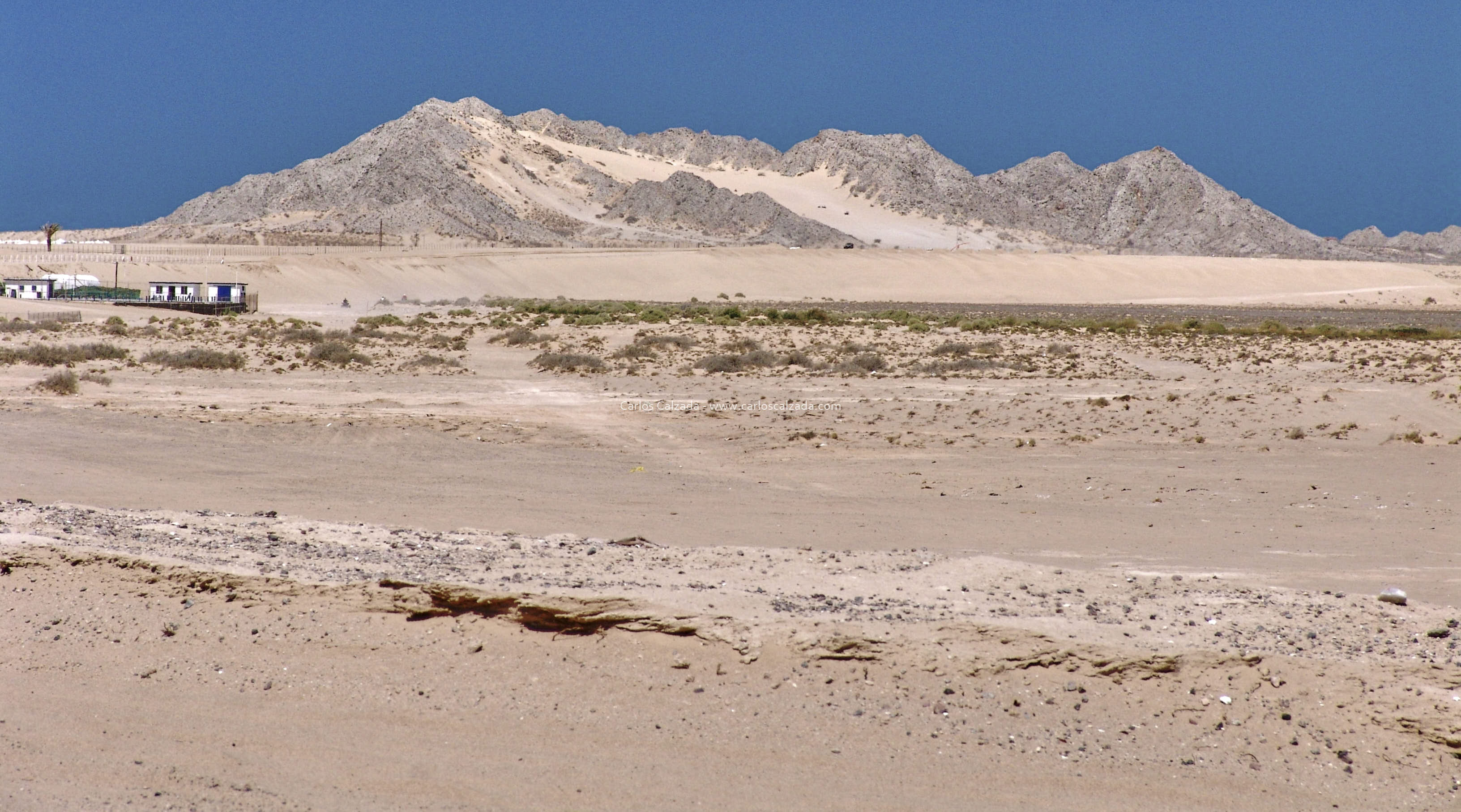 Arenosa_2008 (9).jpg